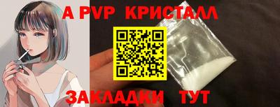 стаф Тара