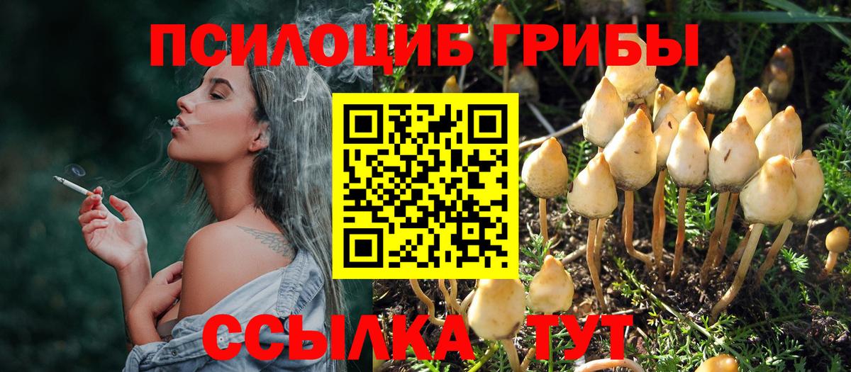 закладки  Псилоцибиновые грибы MAGIC MUSHROOMS  Оренбург  Вход с VPN  Псилоцибиновые грибы мицелий 